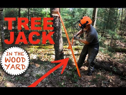 #344 - Tree Jack Norwood Timber Tool and Directional Felling