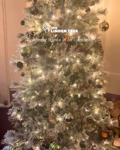 The tree’s twinkling, the fire’s crackling, and The Linden Tree is...