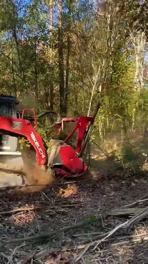 Forestry Mulcher Operation F Erasing Dense Trees in Seconds