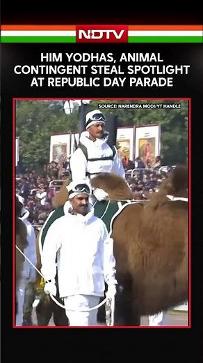 Republic Day | HIM Yodhas, Animal Contingent Steal Spotlight at Republic Day Parade