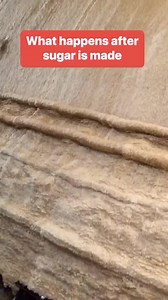 34K views · 679 reactions | Here’s how leftovers from sugarcane processing are repurposed. #India #Sugar #Waste | Business Insider Africa | Facebook