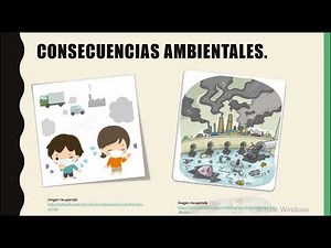 MÓDULO 15| Proyecto integrador: Agente verde.