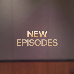 Justice isn't blind - it's blunt. Stream brand new episodes on Freevee starting November 7! | Judy Justice