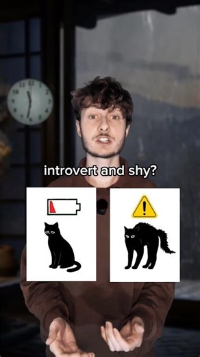 Difference between INTROVERT and SHY? 🤔