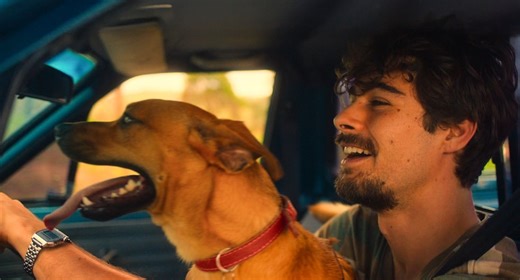 Si “Caramelo” te hizo llorar, estas otras 10 películas de perros en Netflix también te conmoverán