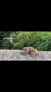Robobugs have invaded Earth and are taking over! Watch this video of a Ugears Hexapod Explorer being built, then turned loose in a park in Shanghai. Do you have a video of a Hexapod exploring your part of the world? Post it here! Build your own Ugears robo-bug and add to the six-legged takeover of the planet! https://ugearsmodels.com/hexapod-explorer.html Роботи-жуки намагаються захопити Землю і взяти її під свій контроль! Подивіться це відео, де Гексапода Дослідника від Ugears складають, а поті