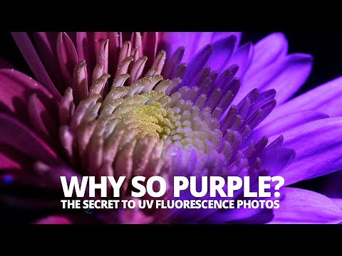 Purity is important for ultraviolet fluorescence photography!