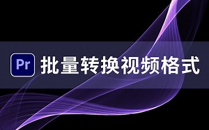 【PR教程】视频导入PR后无法识别？剪辑助手帮你批量转换主流格式-东东课堂