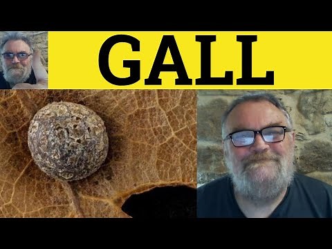 🔵 Gall Meaning - Galling Definition - Have The Gall To Do Examples - British English Pronunciation