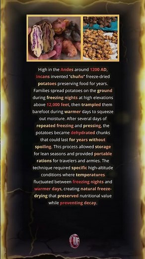 Incan Freeze-Dried Potatoes That Lasted Years