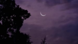 Shontelle - Impossible: Full Song Lyrics and Karaoke