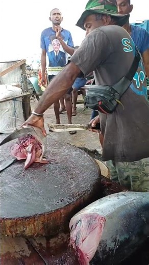 SHARP MACHINE! UNCLE YAKOB'S SKILLED HANDS CUT SMALL TUNA