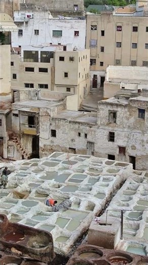 Chouara Tannery: 😉 The Most Impressive Place in Fez