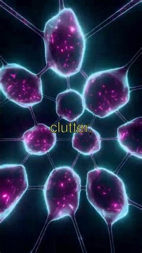 The Shocking Truth About Sleep and Memory