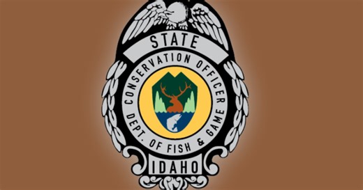 Two men from Washington charged with poaching Idaho moose