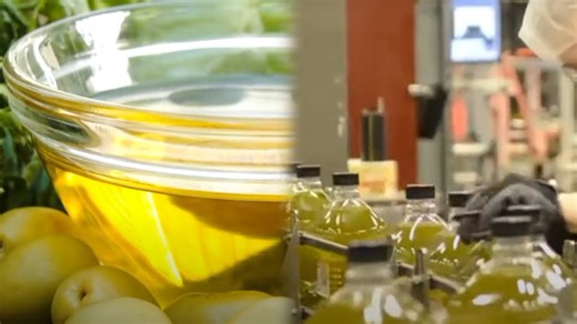 The Fascinating Journey From Olives to Liquid Gold