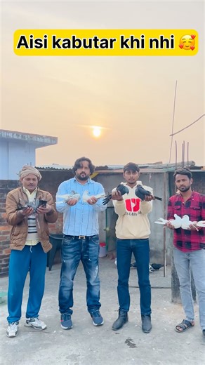 Aisi kabutar aur khi nhi 😲🕊️ #shorts #viral #trending