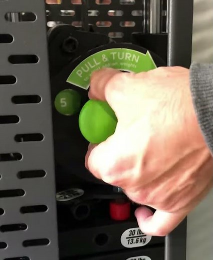 PRIME Evolution Arm Curl - Overview