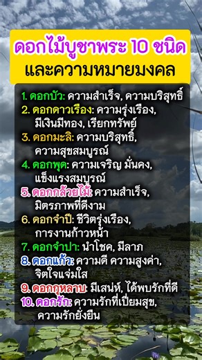 ดอกไม้สำหรับไหว้พระ 10 ชนิดนี้มีความหมายมงคลว่าอะไรบ้างลองดูนะ 🙏💖🙏 | ที่นี่มีสาระ