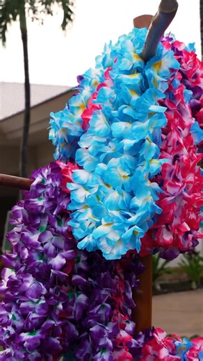 Designed for discovery 🌺 The Arizona Lottery Hawaiian Holiday brings #Hawaii to life through immersive island experiences from #volcano tours and #snorkeling to sunset sails, #spa days, #golf, and authentic Hawaiian culture. We’re celebrating our winners every step of the way. 🌴⛵️ #lottery #travel #arizona #adventure #winners | Atlas Experiences