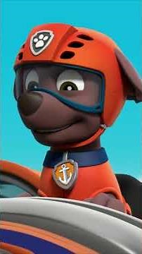 The Pups save a climber! 🧗🏻 #PawPatrol #Shorts