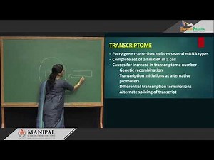 Post translational modifications