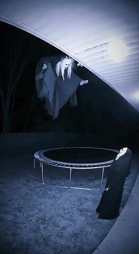 313K views · 9K reactions | Phoenix ASMR on Reels | Facebook