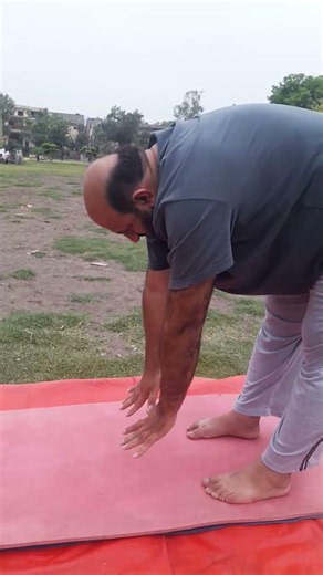 Yoga Arm Stretching Exercise for Flexibility and Mobility