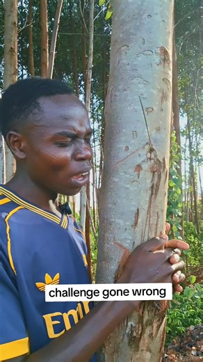 Hugging a Tree for 80 Hours Challenge