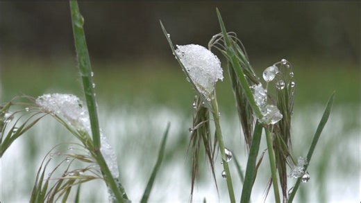 Could the weather affect plans for the weekend?