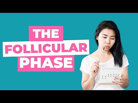 What is the follicular phase? Understanding your cycle when you’re TTC