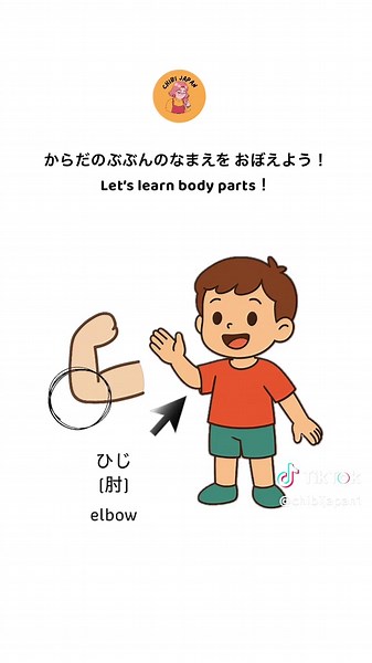 からだの なまえを おぼえよう！ Let’s learn body parts! #japanese All level