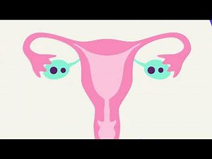 Vaginal ring contraceptive method: How does it work to prevent pregnancy?