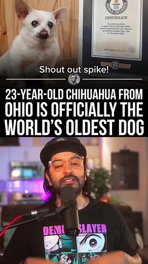 Spike: The Oldest Dog in History
