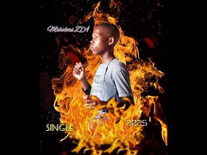 Msholozi ZA - Sithi Shwi (Official Audio)