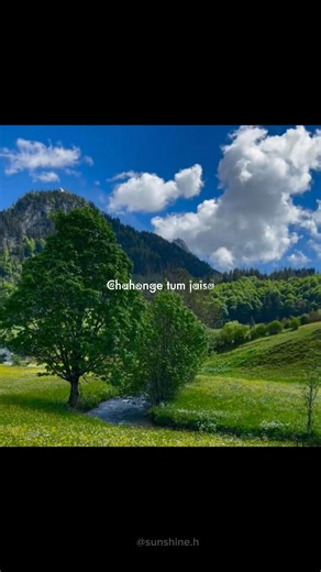 Main rang sharbaton ka lyrical 💗 Main rang sharbaton ka lyrics ❤️ main rang sharbaton ka #shorts