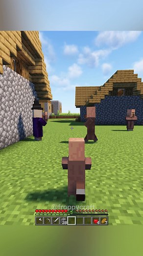 Minecraft Meme | Crainer Gaming