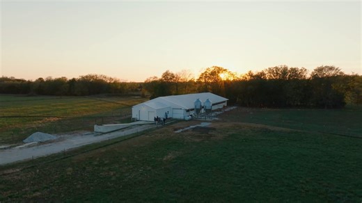 Cattle prices are high — but what happens if they fall? Learn how Livestock Risk Protection (LRP) from Capital Farm Credit can help you stay prepared. 🐂 Visit capitalfarmcredit.com to locate the office closest to you and get started today! | Capital Farm Credit