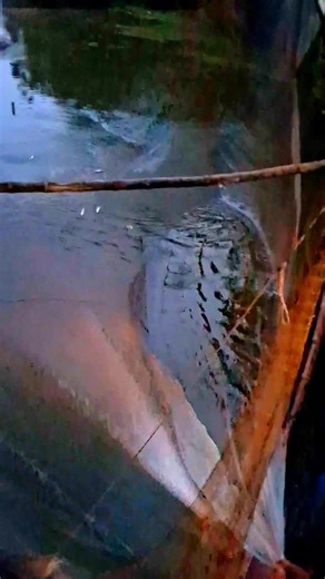 2.4K views | Fisherman Catching Lot Of Fish By Using Net #reelsvideo #reelsfb #reelsvideoシ | Fishing One Life | Facebook