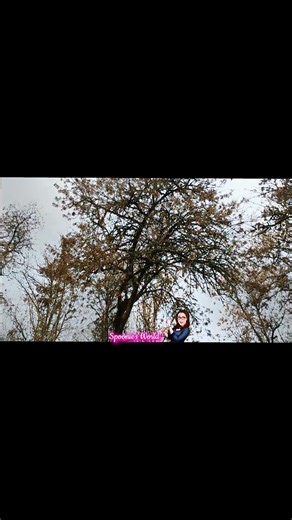 Birds vs. Me! * FINALLY...caught them! #geese #bird #nature #migration #positivevibes #wildlife