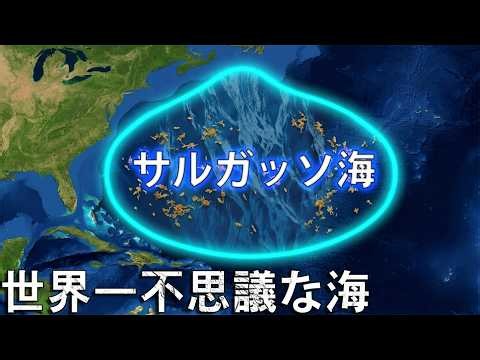 恐るべきサルガッソ海 — 岸のない海