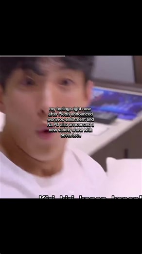 carat mix feeling never ending #seventeen