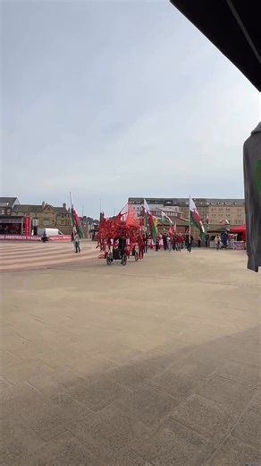 Rebel Dragon Designs on Reels