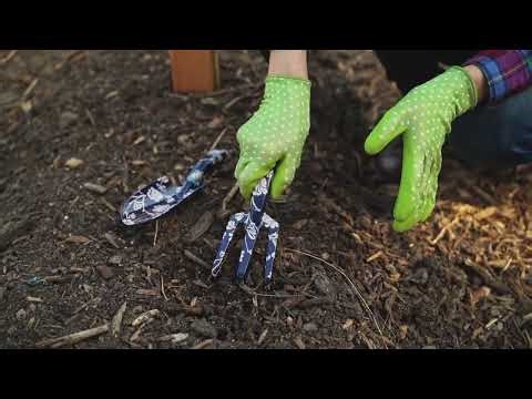 How to Solarize Your Garden Bed and Wipe Out Weeds Before You Even Plant