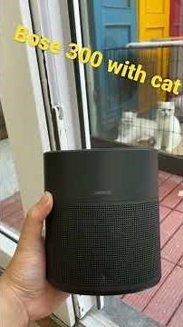 Bose Home Speaker 300 | Bass more