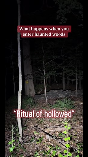 Entering Haunted Woods: What Happens Next