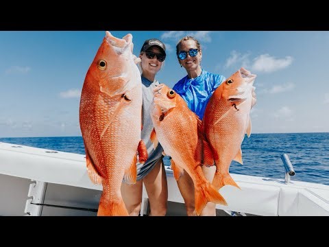 Pulley Ridge Fishing: Catching EXOTIC Fish 150 Miles Offshore