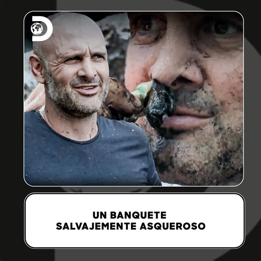 277K views · 8.9K reactions |  Banquete extremo en los manglares de Borneo: cuando estás en una competencia salvaje, ¡hasta la comida se vuelve una prueba de supervivencia! Sin menú ni lujo, solo ingenio y coraje en un entorno donde cada bocado puede ser el último.  #EdStaffordContratodos Disfruta el contenido de Discovery en #HBOMax Suscríbete ahora: https://bit.ly/MAX-DiscoveryLA | Discovery Latinoamérica | Facebook