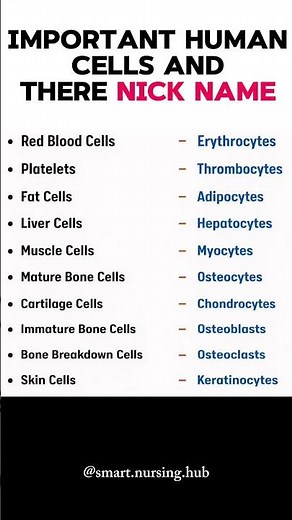Biology made simple 💙#HumanCells, #BiologyNotes, #Anatomy#Health #MedicalStudents, #NursingStudents