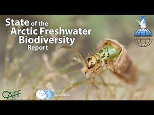 As planet warms, Arctic lakes, rivers will lose their biodiversity
